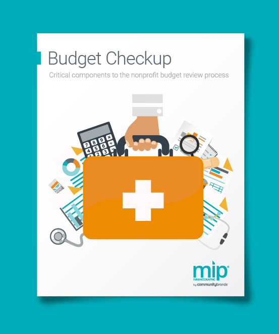 BudgetCheckup_MIP