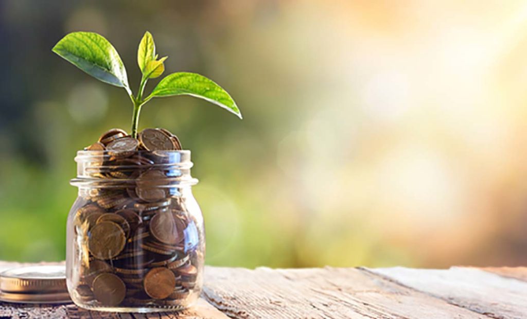 A jar of coins with a plant coming out the top