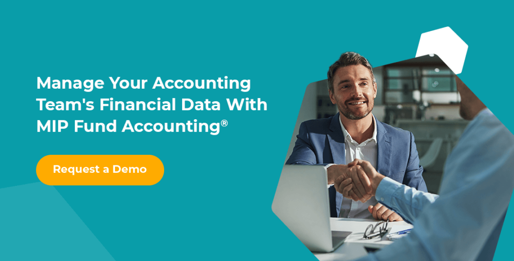 manage your accounting team's financial data with MIP fund accounting